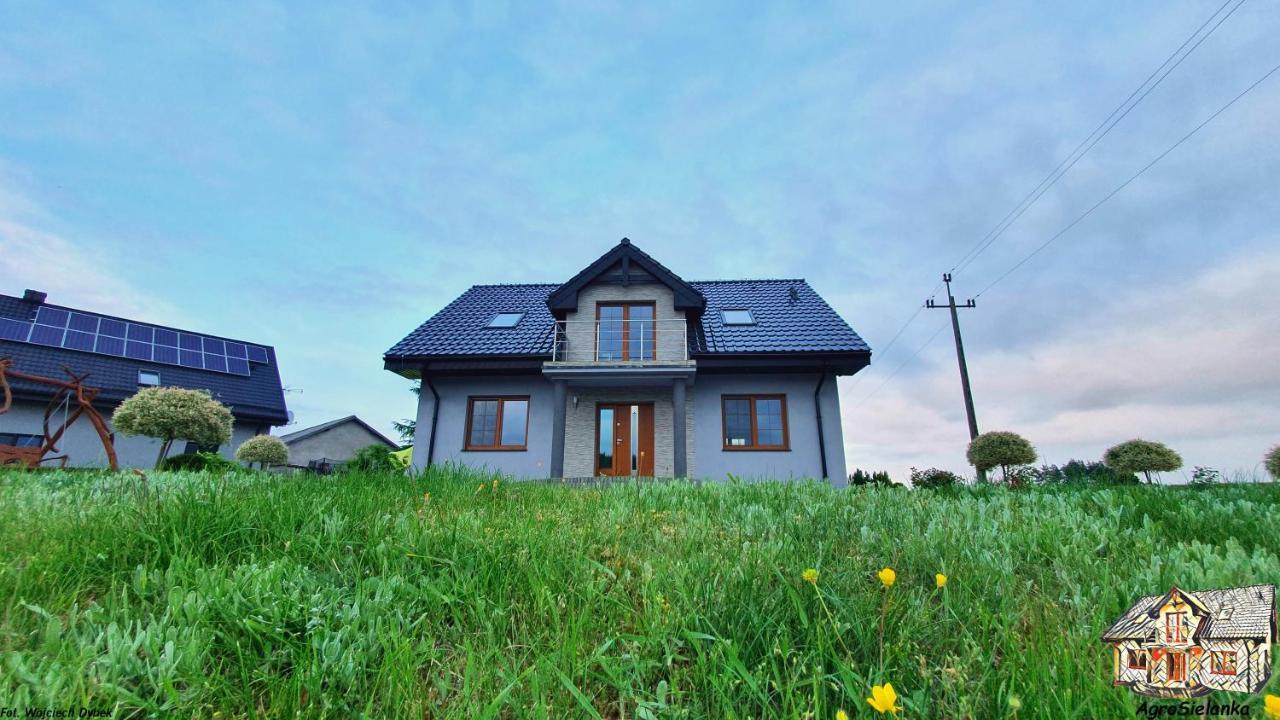 Agrosielanka Villa Lipnica  Ngoại thất bức ảnh