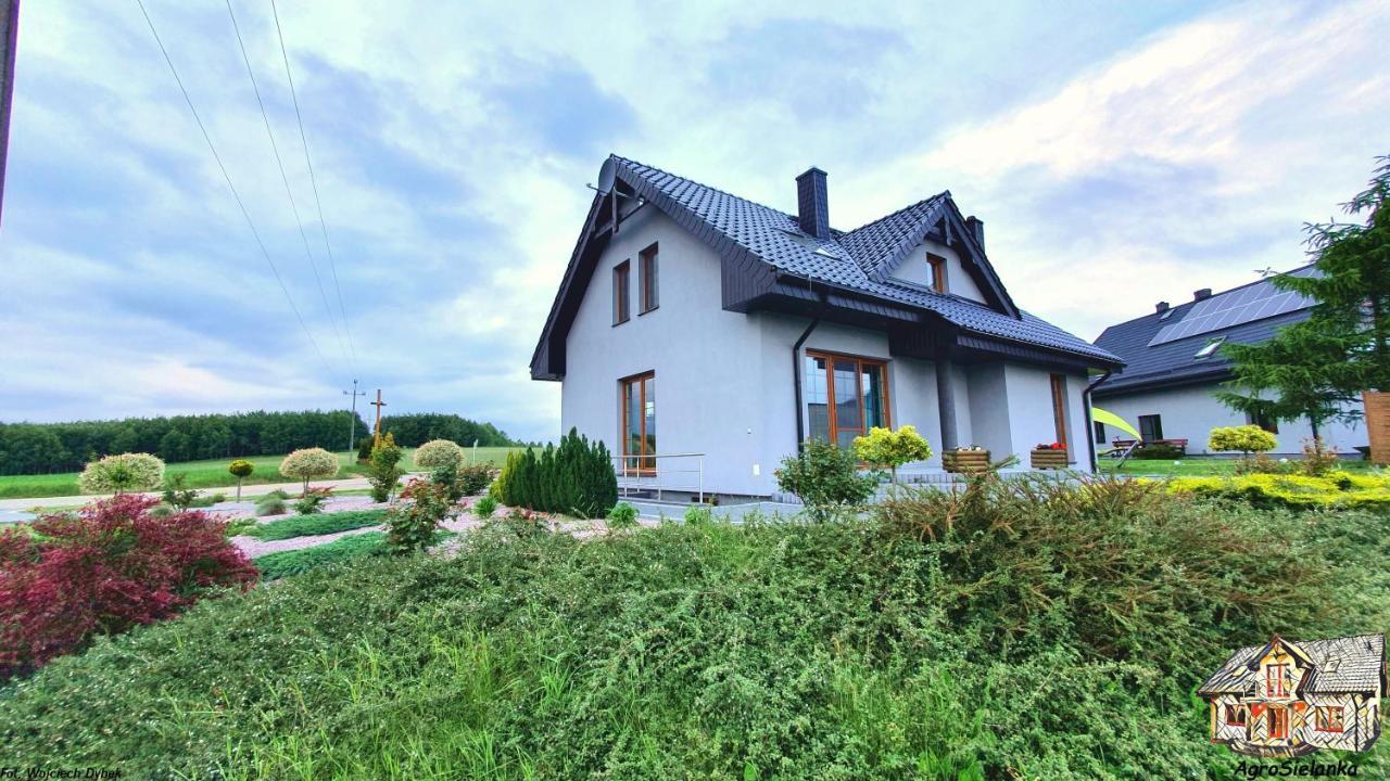 Agrosielanka Villa Lipnica  Ngoại thất bức ảnh