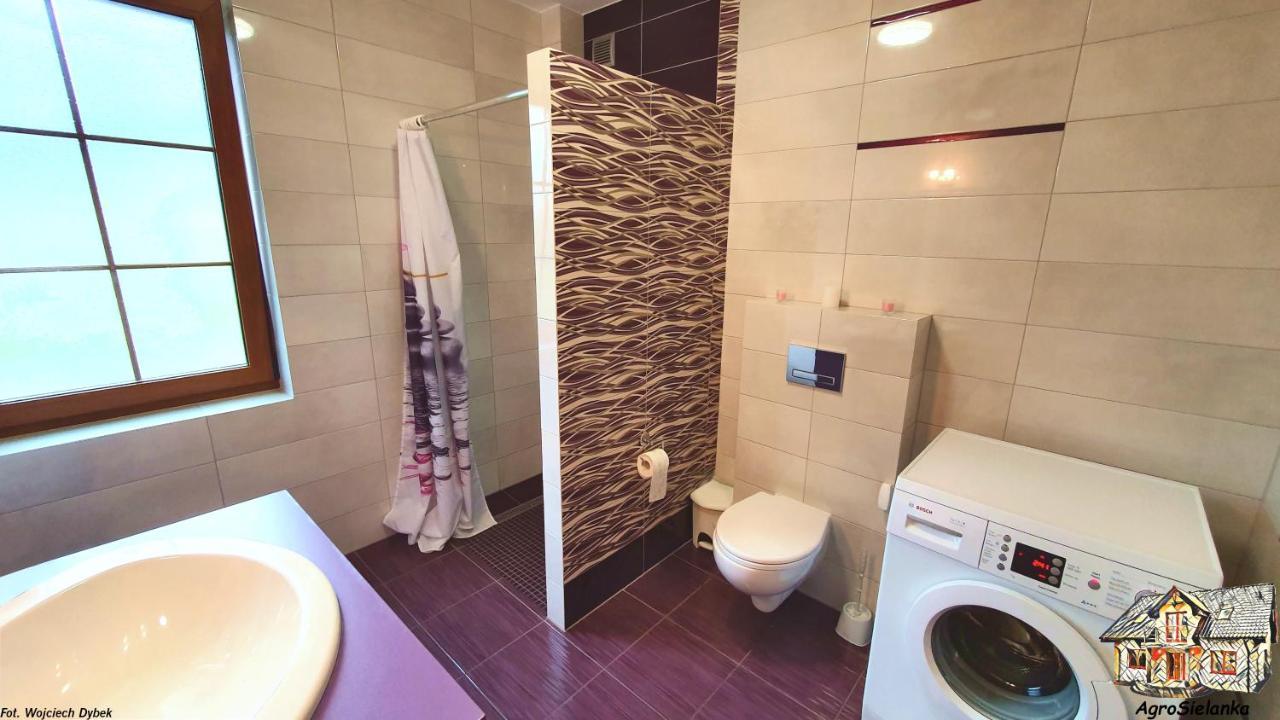 Agrosielanka Villa Lipnica  Ngoại thất bức ảnh