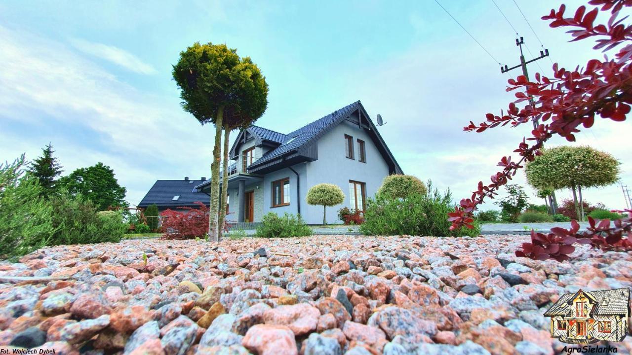 Agrosielanka Villa Lipnica  Ngoại thất bức ảnh