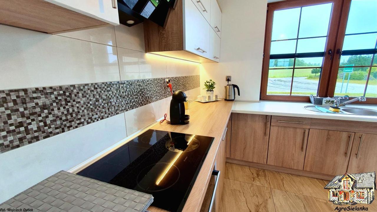 Agrosielanka Villa Lipnica  Ngoại thất bức ảnh