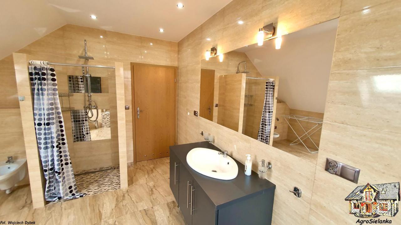 Agrosielanka Villa Lipnica  Ngoại thất bức ảnh