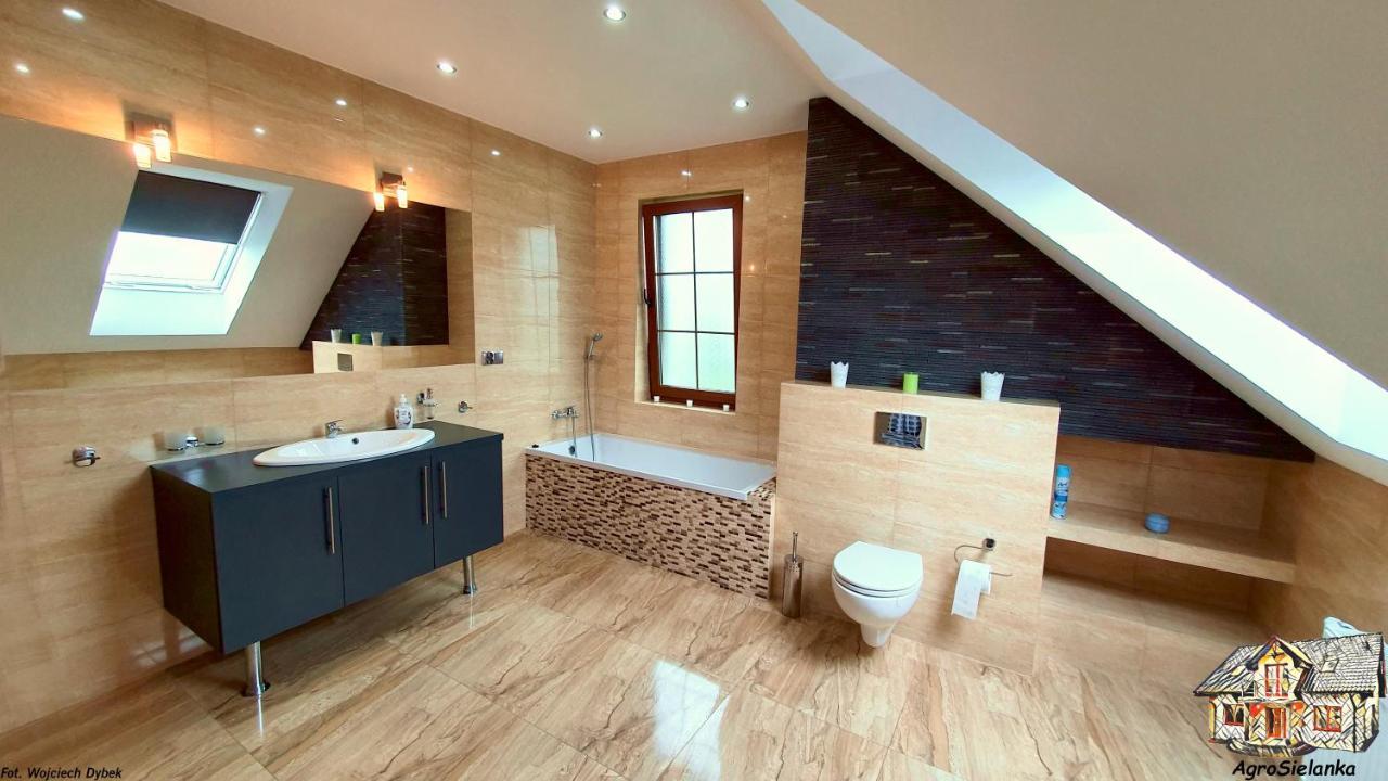 Agrosielanka Villa Lipnica  Ngoại thất bức ảnh