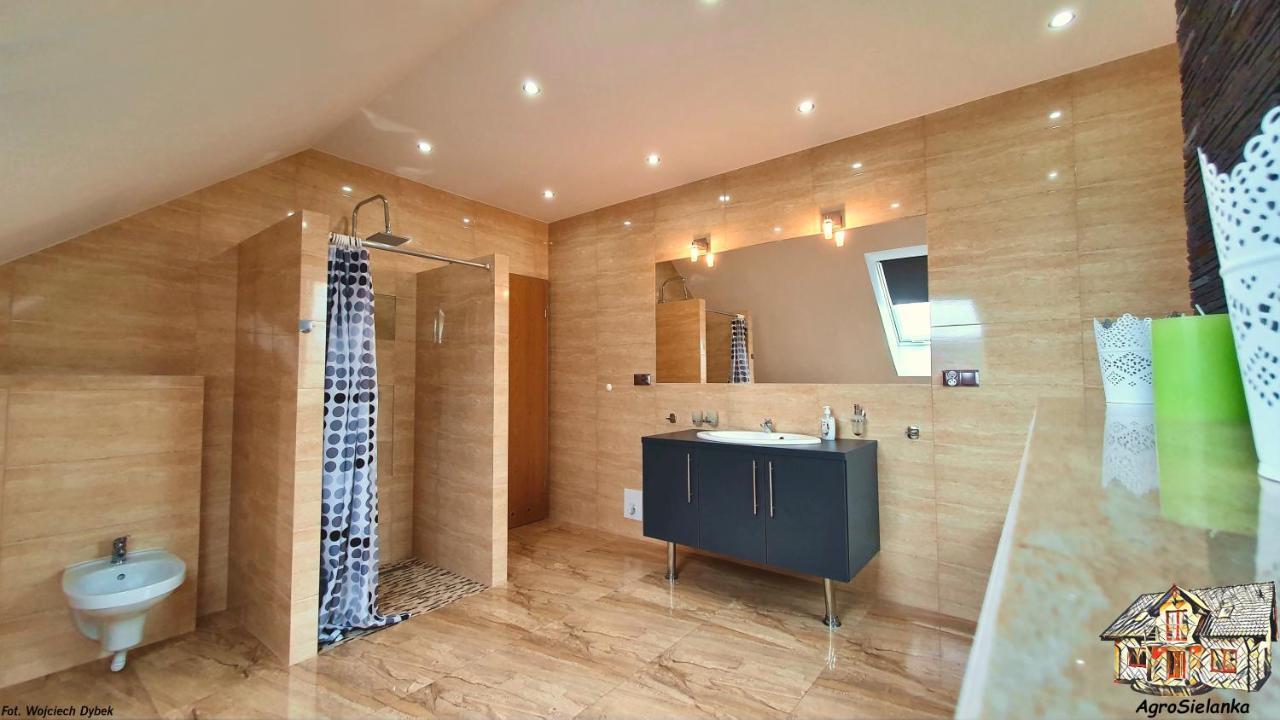 Agrosielanka Villa Lipnica  Ngoại thất bức ảnh