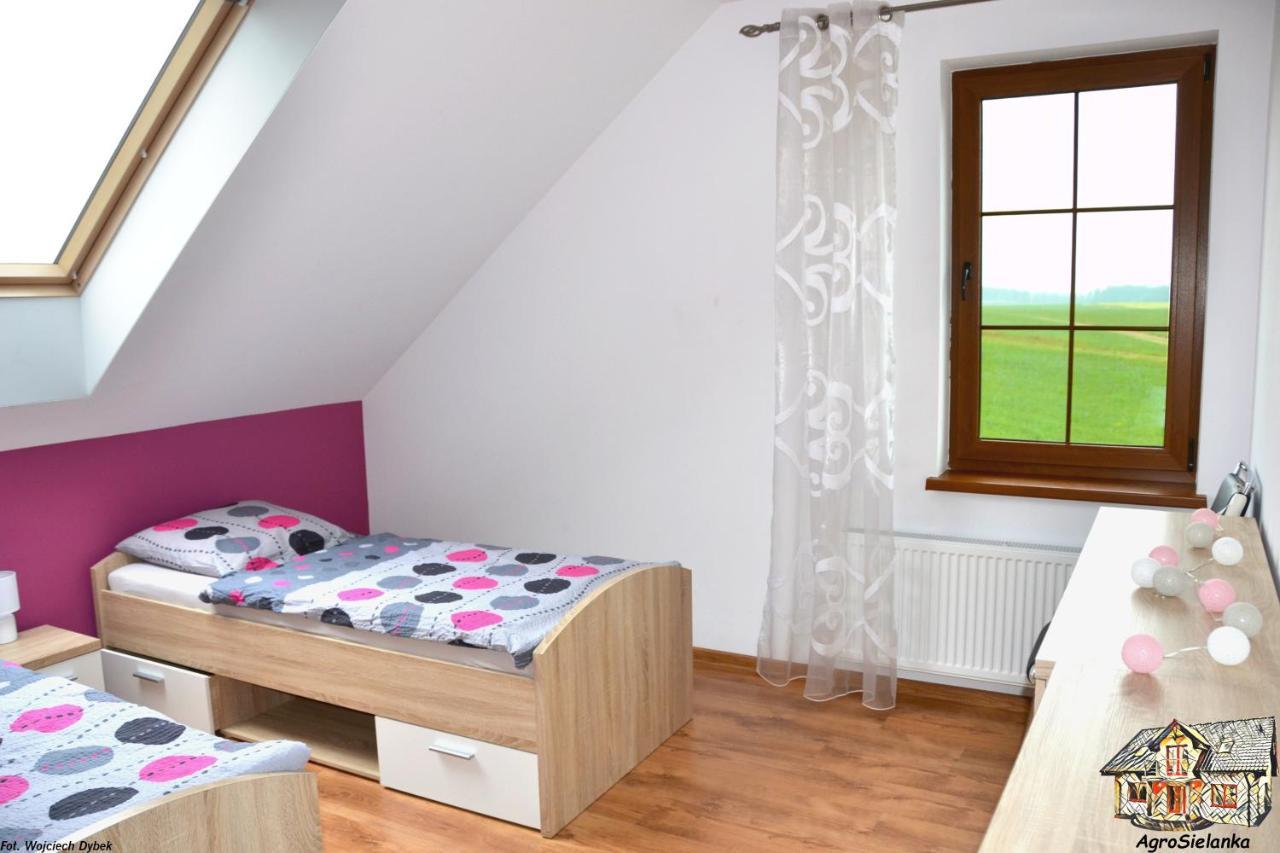 Agrosielanka Villa Lipnica  Ngoại thất bức ảnh