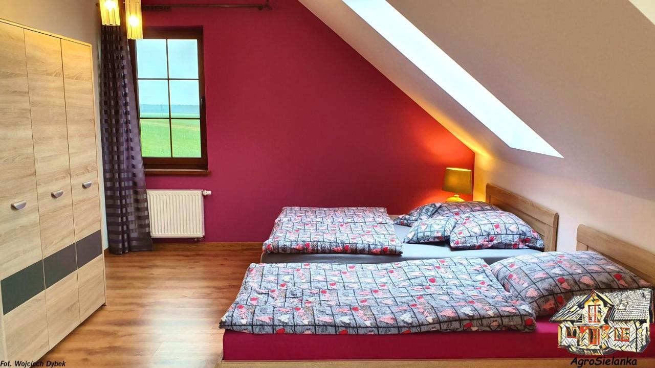 Agrosielanka Villa Lipnica  Ngoại thất bức ảnh