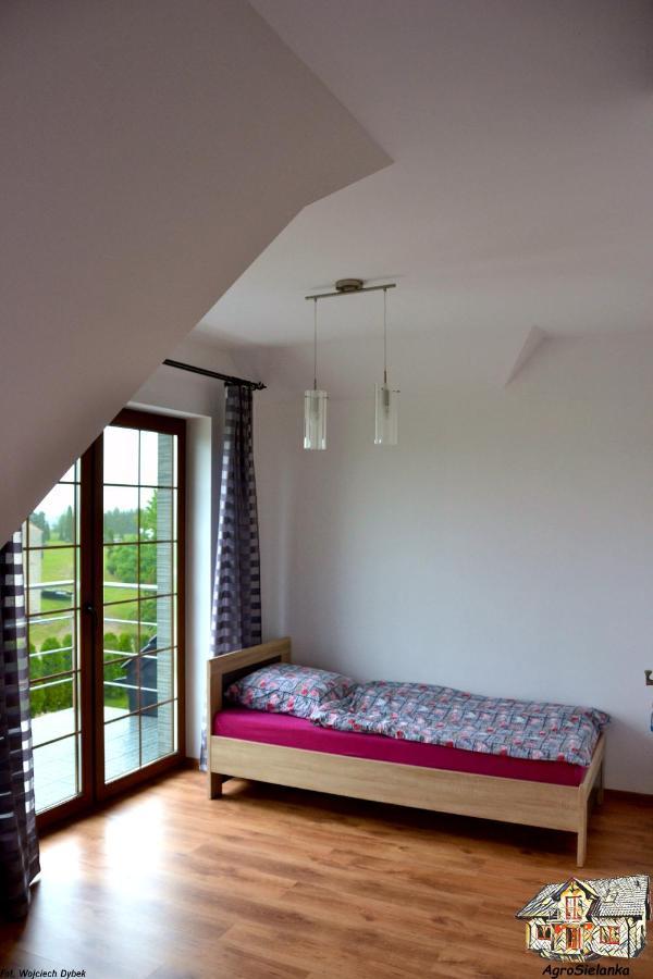 Agrosielanka Villa Lipnica  Ngoại thất bức ảnh