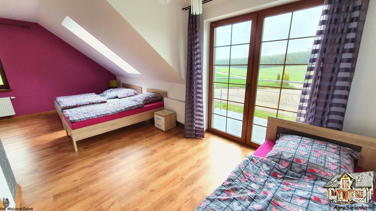 Agrosielanka Villa Lipnica  Ngoại thất bức ảnh
