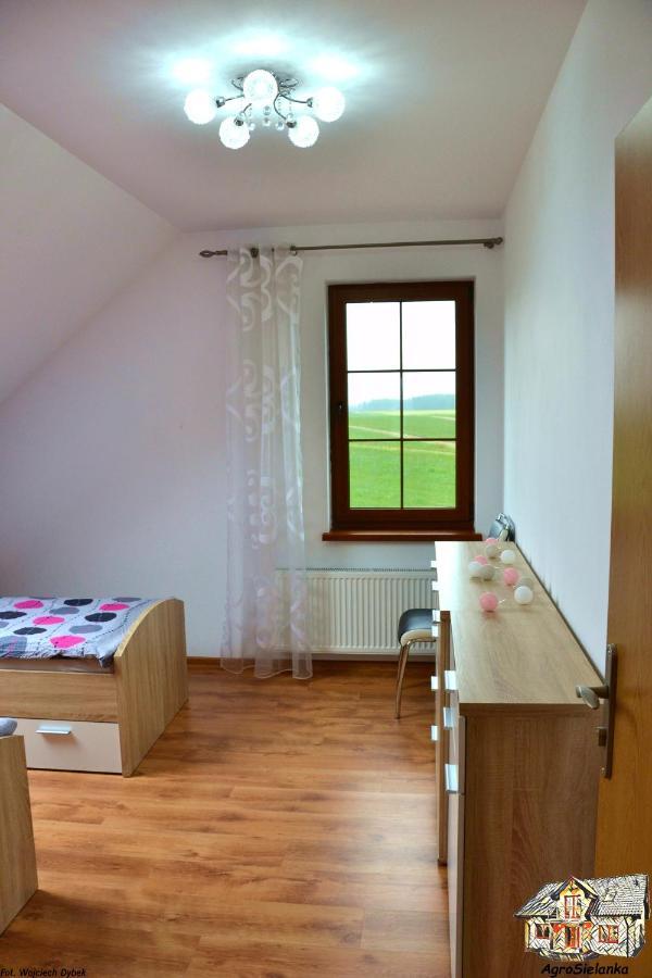 Agrosielanka Villa Lipnica  Ngoại thất bức ảnh