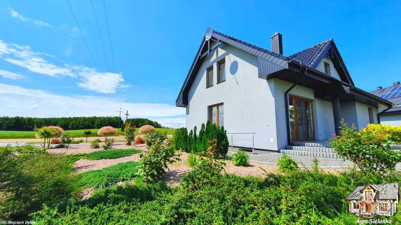 Agrosielanka Villa Lipnica  Ngoại thất bức ảnh